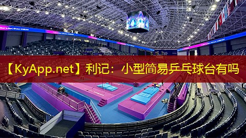 利记：小型简易乒乓球台有吗