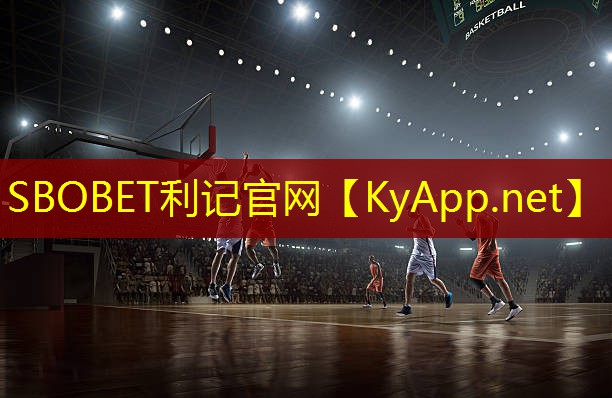 利记官网入口：乒乓球台哪种比较好