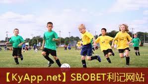 ♻️利记集团：篮球上肢健身器材有什么
