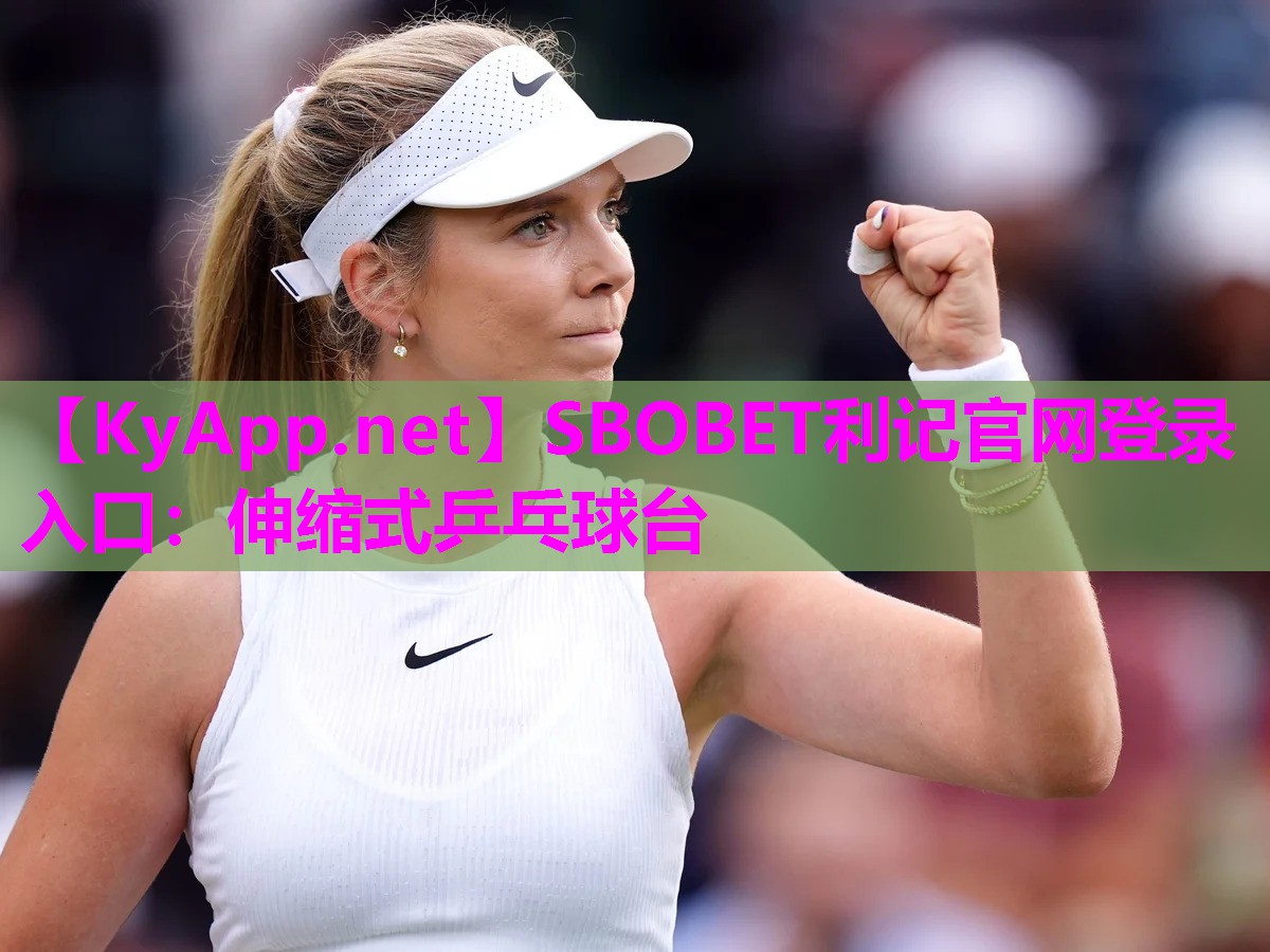 SBOBET利记官网登录入口：伸缩式乒乓球台