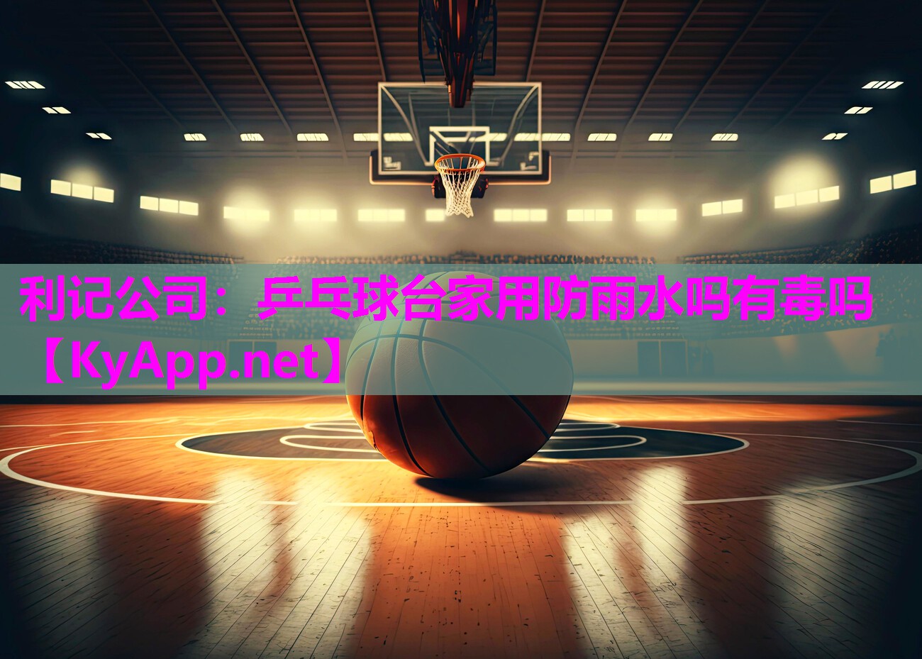 利记公司：乒乓球台家用防雨水吗有毒吗