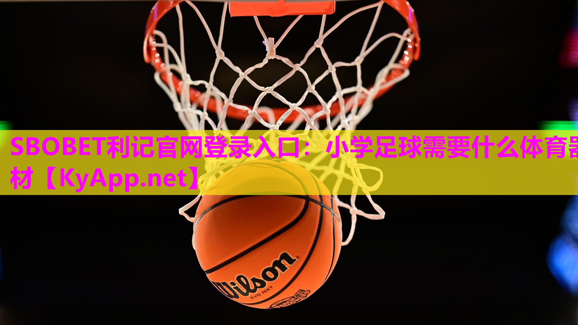 SBOBET利记官网登录入口：小学足球需要什么体育器材