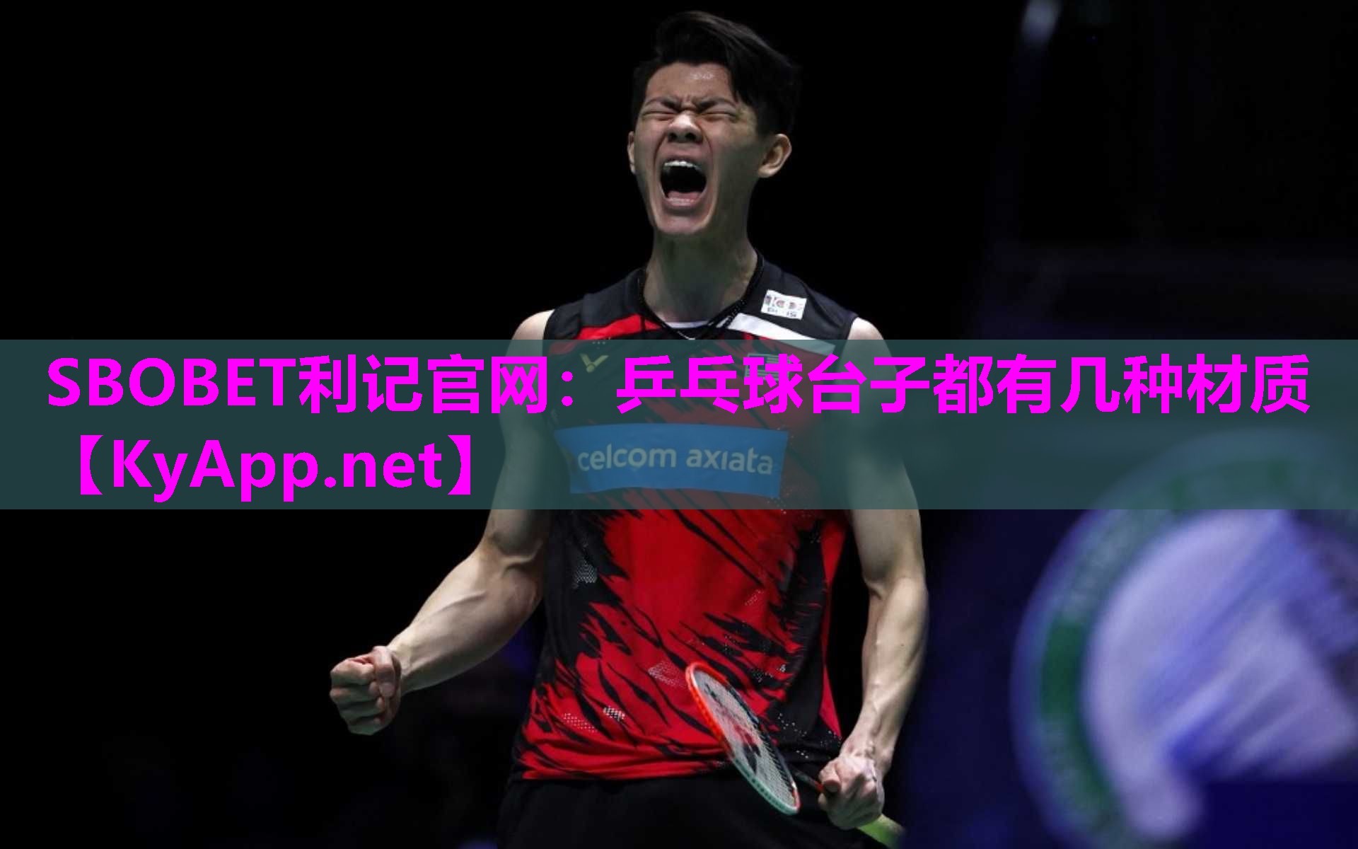 SBOBET利记官网：乒乓球台子都有几种材质