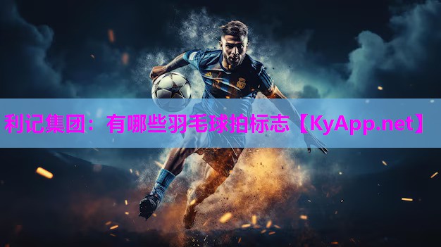 利记集团：有哪些羽毛球拍标志
