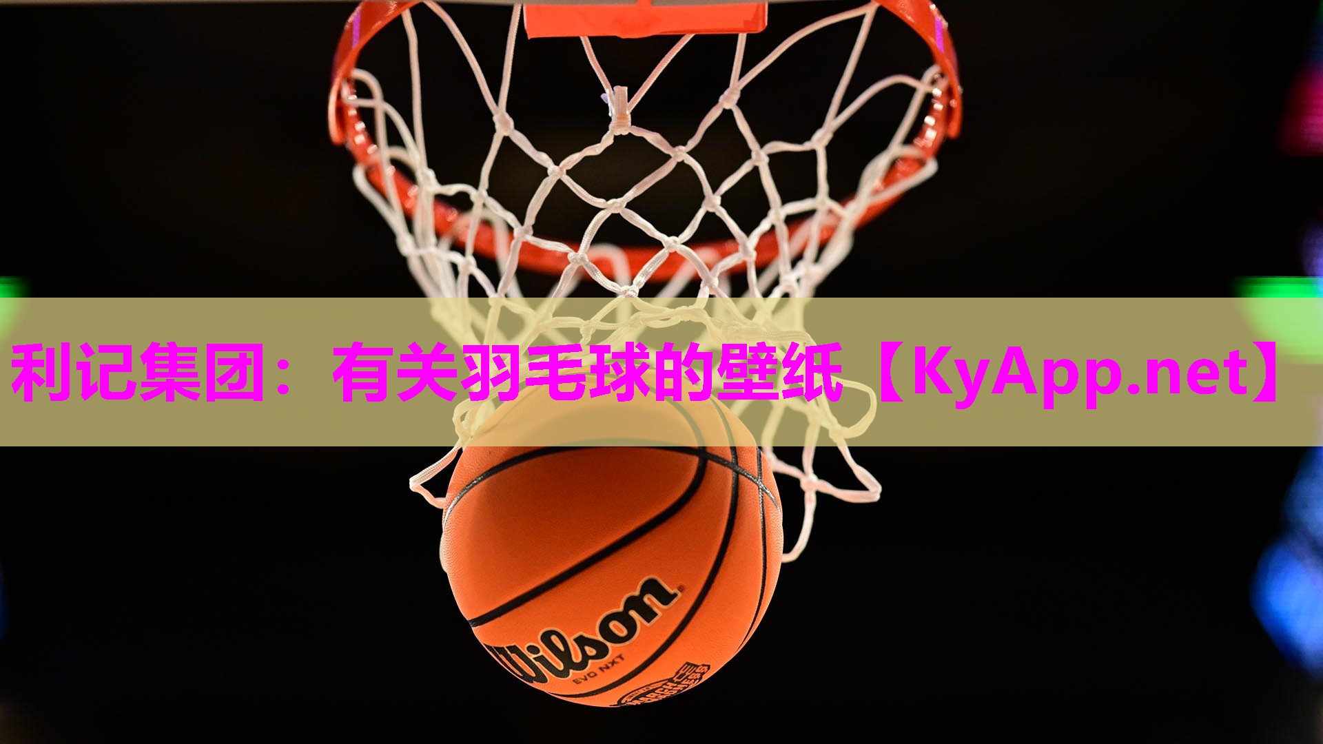利记集团：有关羽毛球的壁纸