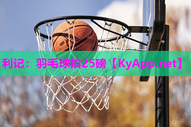 利记：羽毛球拍25磅