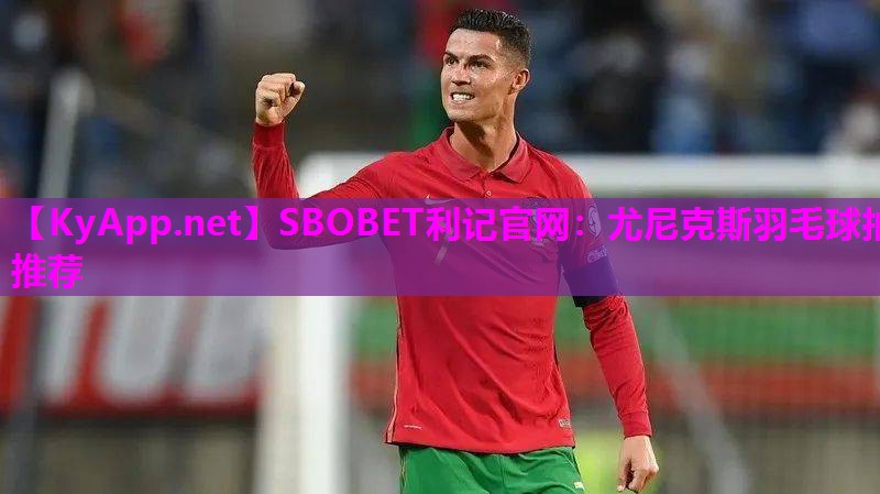 SBOBET利记官网：尤尼克斯羽毛球拍推荐