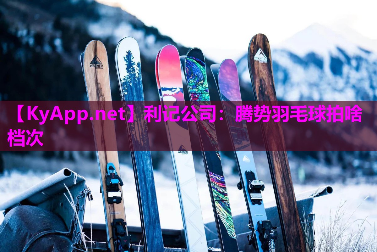 利记公司：腾势羽毛球拍啥档次