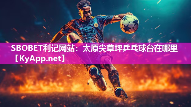 太原尖草坪乒乓球台在哪里 太原尖草坪乒乓球台在哪里