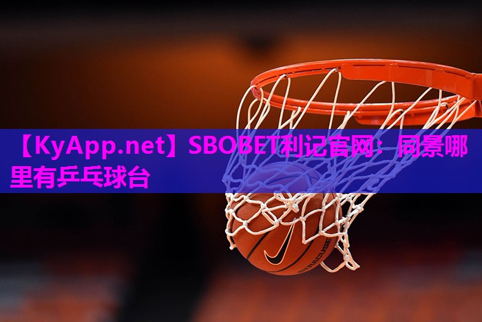 同景哪里有乒乓球台 同景哪里有乒乓球台