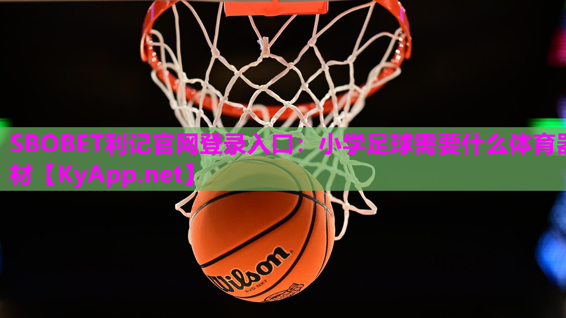 小学足球需要什么体育器材