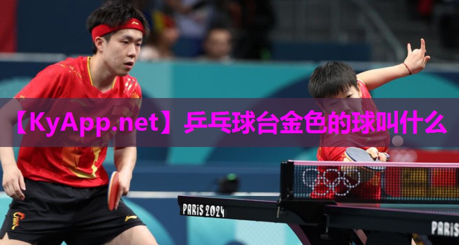 乒乓球台金色的球叫什么 乒乓球台金色的球叫什么