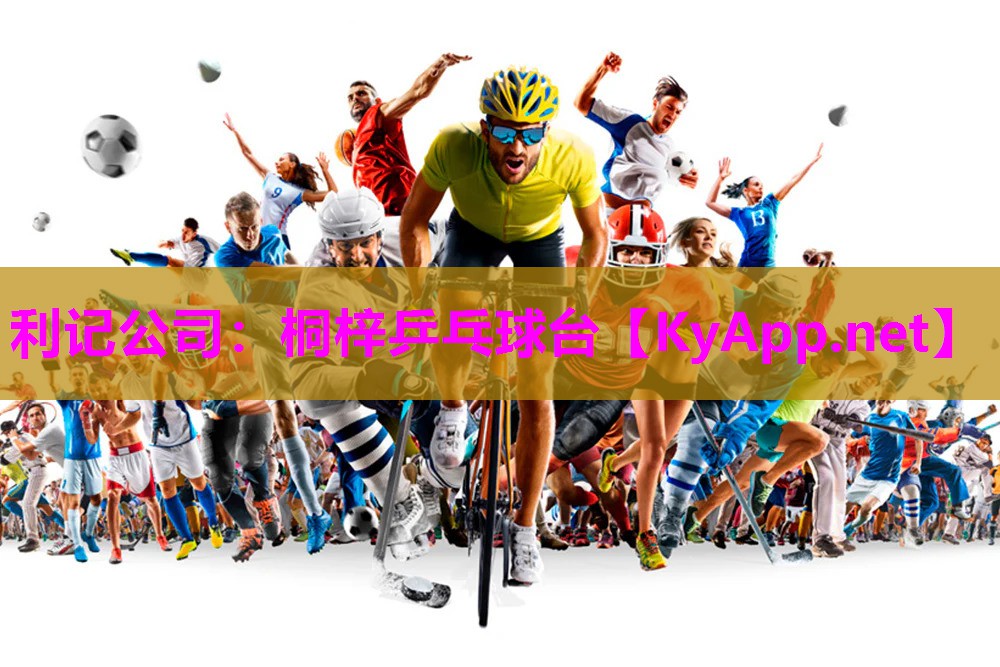 桐梓乒乓球台 桐梓乒乓球台