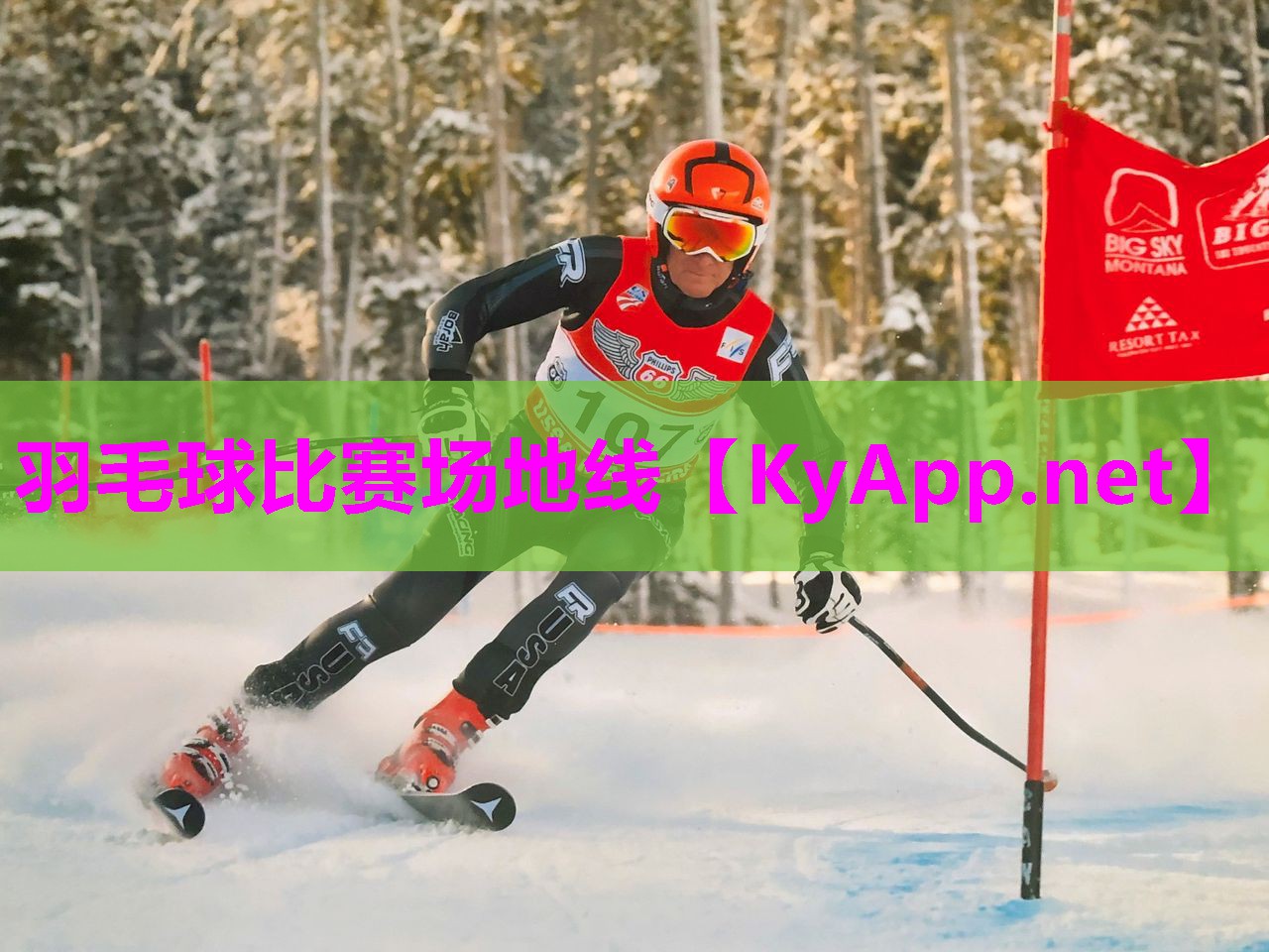 羽毛球比赛场地线 羽毛球比赛场地线