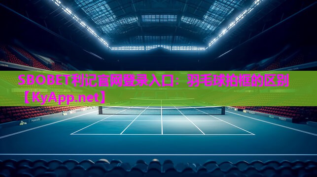 羽毛球拍框的区别