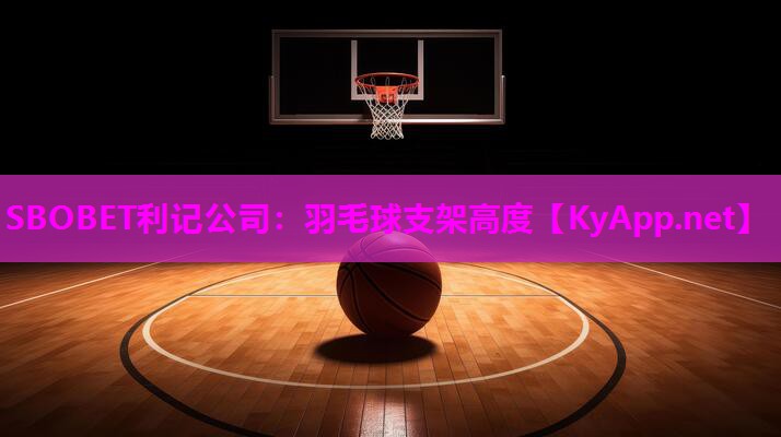 羽毛球支架高度 羽毛球支架高度