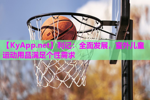 全面发展,室外儿童运动用品满足个性需求 全面发展,室外儿童运动用品满足个性需求