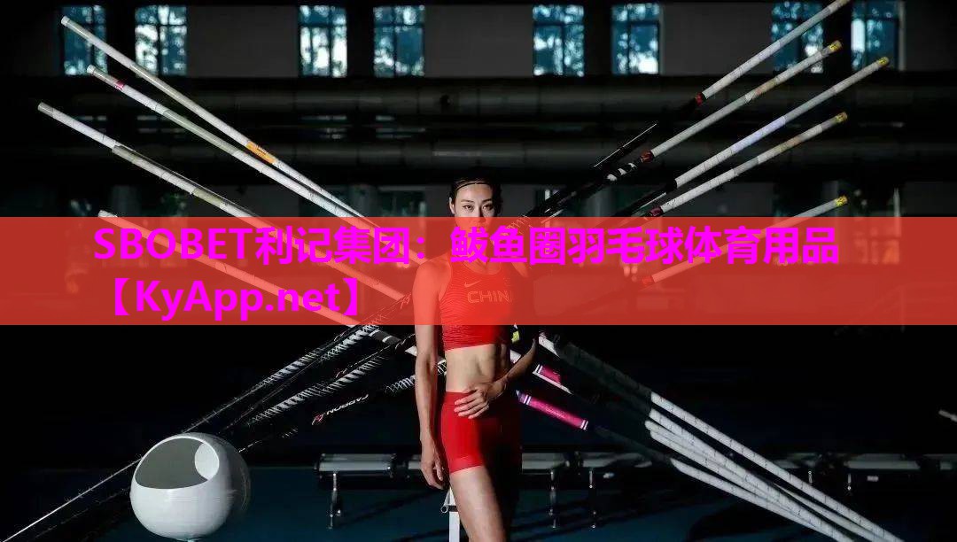 鲅鱼圈羽毛球体育用品 鲅鱼圈羽毛球体育用品