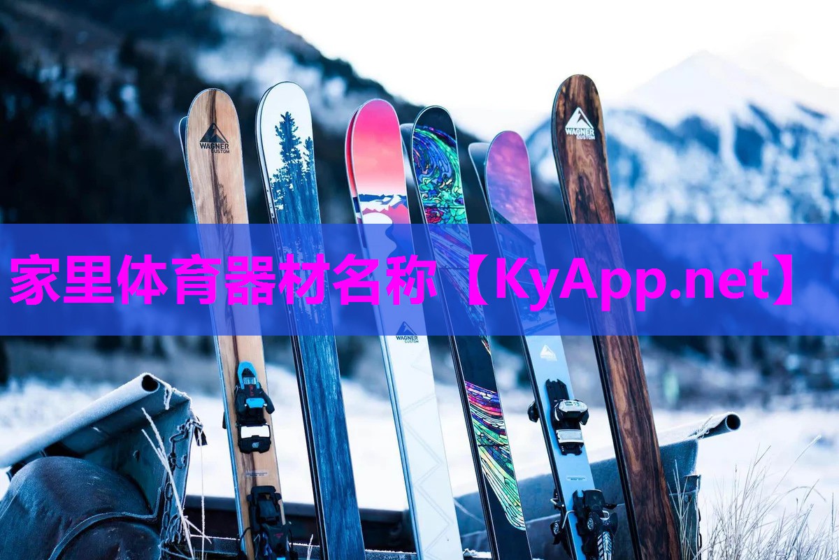 家里体育器材名称