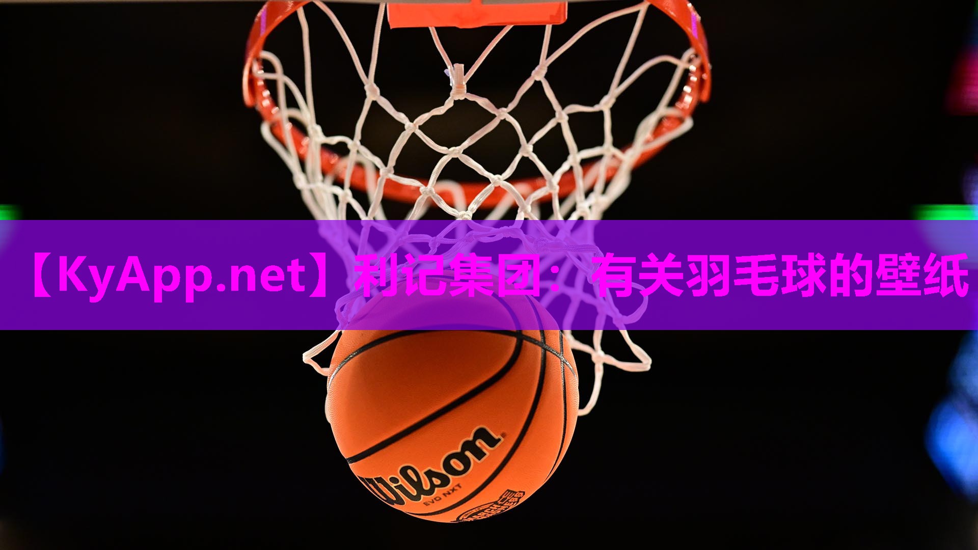 有关羽毛球的壁纸 有关羽毛球的壁纸