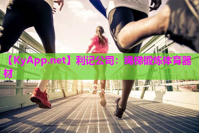 绳梯锻炼体育器材 绳梯锻炼体育器材