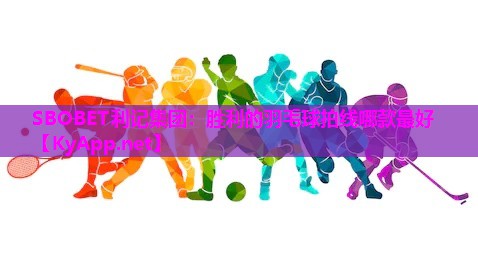 胜利的羽毛球拍线哪款最好 胜利的羽毛球拍线哪款最好