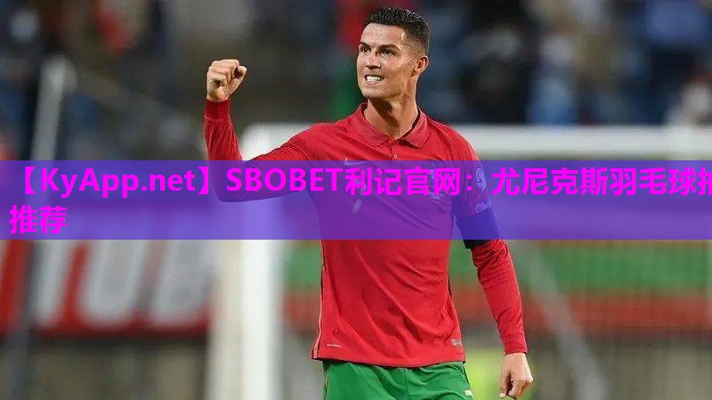 尤尼克斯羽毛球拍推荐 尤尼克斯羽毛球拍推荐