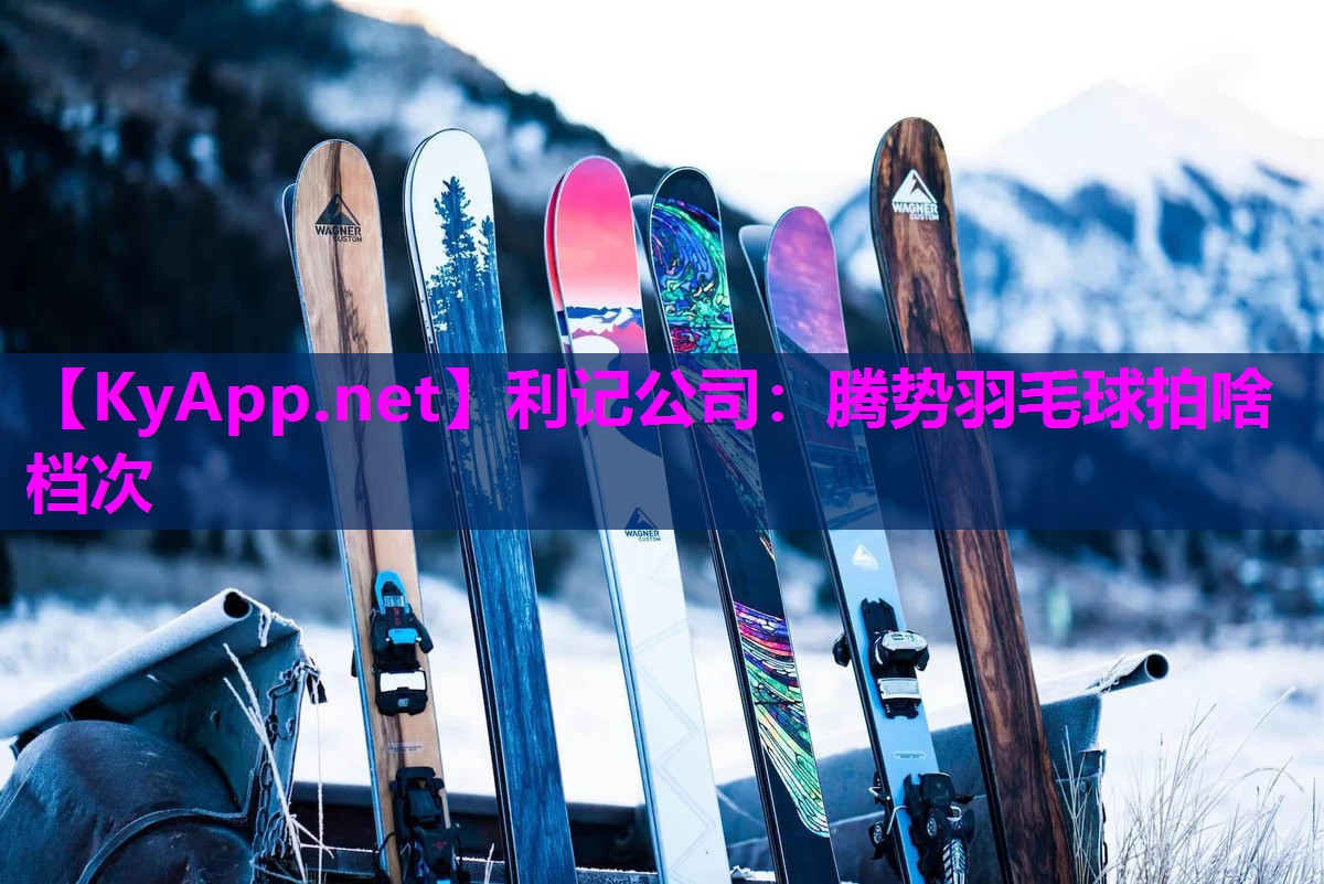 腾势羽毛球拍啥档次 腾势羽毛球拍啥档次